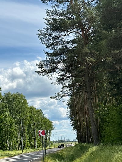 The image depicts a road bordered by trees and a blue sky with white clouds, likely taken on a sunny day. The trees on the left are tall and dense, with some branches extending over the road. On the right side of the road, there is a line of trees and a grassy embankment. A red and white directional sign is visible on the right side of the road, indicating a curve or hazard. In the distance, there are some buildings and streetlights, suggesting the presence of a town or city. The road appears to be paved and has lane markings. Two black cars are traveling on the road in the distance. The image has been rotated 90 degrees clockwise. The scene conveys a sense of travel and nature.