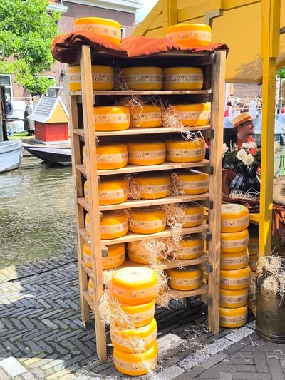 This image depicts an outdoor market scene in Alkmaar, Netherlands, centered around a large display of cheese wheels positioned on a cobblestone quay beside a canal.
In the foreground, a tall, multi-tiered wooden rack, constructed from light-colored planks, is laden with numerous round, yellow-waxed cheese wheels. Many of these cheeses are interspersed with light-colored, wispy straw or wood shavings. The cheese wheels are arranged both horizontally on the shelves of the rack and stacked vertically in columns on the ground. Several cheese wheels exhibit dark markings or labels on their sides. A large rust-orange cloth drapes over the top of the wooden rack, partially covering a few additional cheese wheels.
To the immediate right of the wooden cheese display, a bright yellow canopy structure extends, under which a man wearing a straw hat with an orange band and an orange shirt is visible, smiling towards the left. Near him, on a dark, possibly velvet cloth, sits a black, multi-chambered vase holding several white roses. Further to the right, a cylindrical metal container, resembling a milk churn, is partially visible, also adorned with straw.
To the left of the cheese display, a dark-toned cobblestone path with a herringbone pattern stretches towards a canal. The canal contains calm, reflective water, with two boats visible: a light-colored, possibly white, rowboat partially docked on the left, and a darker, flat-bottomed boat further out in the canal. On the far bank of the canal, a small, red-painted building with a yellow roof and a gray peak stands out. Beyond this, several people are walking, and in the background, lush green trees and traditional brick buildings are visible under a bright sky.