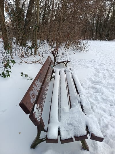 The image displays a winter scene within a park or wooded area in Leipzig, Germany. The ground is entirely covered by white snow. In the foreground, two parallel park benches, constructed from brown wooden slats and dark metal supports, are visible. The closest bench features white spray-painted graffiti, clearly spelling "ONE," on its upper backrest, partially obscured by snow. Both benches have substantial accumulations of white snow on their seats and backrests. A snow-covered path, exhibiting subtle depressions consistent with foot traffic, extends along the right side of the frame. The background is composed of a dense thicket of bare deciduous trees and shrubs, with some green evergreen foliage visible on the left, indicative of a dormant winter environment. No individuals or animals are present in the scene.