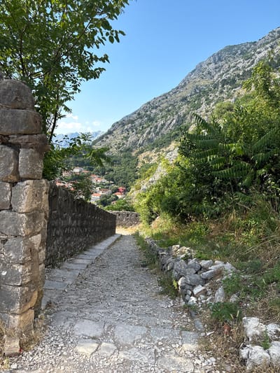 This image depicts a stone path descending a steep incline, likely a stairway, leading towards a village nestled in a valley. The path is constructed from irregular stones, weathered and worn by time and use. On either side of the path, stone walls and rocky terrain are visible, interspersed with patches of dry grass and greenery.

The setting is a mountainous region, with a sheer, rugged mountainside dominating the left side of the frame. The mountain is covered in sparse vegetation, and its imposing presence suggests a dramatic landscape. The sky above is a clear, bright blue, indicating a sunny day with fair weather.

In the distance, the village is characterized by buildings with red-tiled roofs, clustered together along the valley floor. A dense collection of trees and foliage surrounds the village and climbs the lower slopes of the mountains, creating a vibrant contrast with the rocky terrain and stone structures.

The image captures a sense of timelessness and history, evoked by the ancient stone pathway and the enduring mountains. The perspective, looking down the path, draws the viewer's eye towards the village and hints at a journey or descent. The time of day appears to be late morning or early afternoon, judging by the bright sunlight casting defined shadows. No people or specific activities are evident, suggesting a focus on the landscape and its historical features. The location is identified as Kotor, Montenegro, known for its dramatic fjords and historic fortified city.