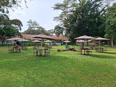 The image shows a grassy courtyard with a building in the background. There are several wooden tables and chairs set up beneath brown umbrellas. The umbrellas are arranged in a symmetrical pattern, creating a space for dining.  Several other umbrellas can be seen set up in the background. The scene is deserted and the environment is serene. This location is part of the Karagita Hotel, situated in the city of Karagita, Kenya, at coordinates: -0.772 latitude and 36.42 longitude.