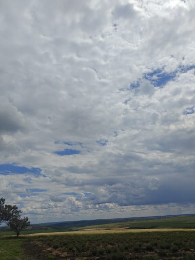 A slightly overcast day is depicted in Colonița, Moldova. The image captures a panoramic view of rolling hills covered in fields, with a few scattered trees in the foreground and middle ground. The sky is filled with a dramatic array of clouds, ranging from fluffy white cumulus to darker, more ominous storm clouds. Patches of blue sky are visible through the clouds, suggesting that the weather is changeable. The landscape appears to be agricultural, with fields of golden crops stretching towards the horizon. A small village or cluster of buildings can be seen in the distance. The overall impression is one of a vast, open landscape under a dynamic sky.