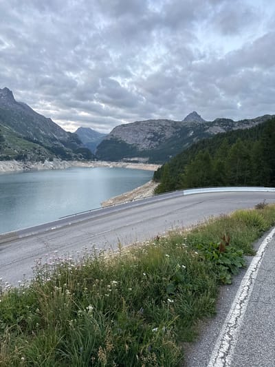 The image depicts a panoramic view of a mountain landscape with a large body of water, likely a reservoir, to the left. A paved road with a white line marking the edge curves into the frame from the right foreground. The road is bordered by tall green grass and wildflowers. In the background, rugged mountains rise steeply, some with rocky, barren slopes and others covered in dark green coniferous trees. The sky is overcast with heavy, gray clouds. There are no people or animals visible in the image. The scene suggests a natural, remote environment, possibly in the French Alps, given the mention of Tignes, France.