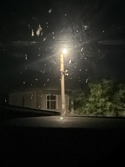 A night-time photograph captures a view through a window, possibly a car windshield, with water droplets and smudges obscuring the scene. In the mid-ground, a single streetlight illuminates a pale pole. Behind the pole, a low-rise building with a visible window is discernible. To the right, lush green foliage suggests trees. The foreground is dominated by the dark interior of the vehicle, with a portion of a wiper blade visible on the left. The overall impression is one of looking out into a dimly lit, possibly rainy, suburban or rural environment at night. The location is identified as Smyadovo, Bulgaria.