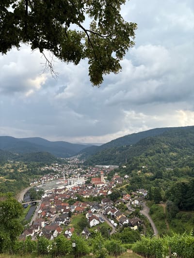 An aerial view captures the town of Gernsbach, Germany, nestled within a valley. The foreground features a vineyard with grapevines and some white flowers. The town itself is densely packed with buildings, characterized by red-tiled roofs and white or light-colored walls. A prominent church steeple stands out in the town center. A river flows through the town, crossed by a bridge. Adjacent to the river, a road runs alongside the town. Beyond the town, rolling green hills covered in dense forest dominate the landscape, with layers of hills receding into the distance under a cloudy sky. A large industrial building with a silo is visible on the outskirts of the town. The overall scene is one of a picturesque German town surrounded by natural beauty.