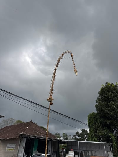 In Kintamani, Indonesia, a tall, ornate bamboo pole, likely a Penjor, stands prominently against a dramatic, overcast sky. The Penjor curves gracefully, adorned with woven palm leaves and a decorative element resembling a dragon's head at its apex. A coconut hangs from the pole near its base. Below, a building with a tiled roof and metal siding is visible, with a sign that reads "CEDON MANGKUR BANGUNAN." Electrical wires crisscross the foreground, and lush green trees frame the scene to the right. The overall atmosphere suggests a cultural or ceremonial occasion taking place under a moody, cloudy sky.