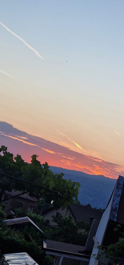 A diagonally oriented landscape photograph captures a sunset over the general area of Kolarovo, Bulgaria, as viewed from an elevated position. The upper sky transitions from pale blue to a warm golden hue, descending into an intense spectrum of orange, red, and purple clouds concentrated near the distant horizon. Multiple white contrails from aircraft traverse the upper and mid-sky. Several small, dark, indistinct objects, possibly birds, are present in the expanse of the sky.
The horizon is defined by a dark blue-purple mountain range. The midground reveals a vaguely lit valley or urban area beneath the mountains. The foreground is dominated by dense green foliage, appearing to be leafy vines, which partially obscure several residential buildings. These structures feature dark tiled roofs and are nestled amongst trees. A distinctive grey architectural element is partially visible on the far right of the foreground. No individuals are present in the scene.