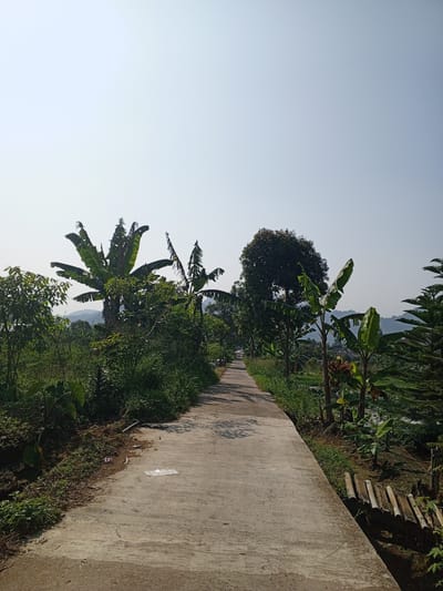 A sunny, outdoor, ground-level shot depicts a concrete path leading into the distance. Lush greenery including banana trees and other foliage line both sides of the path. Mountains are faintly visible in the background. A small drainage ditch with bamboo pieces running across it is visible on the right side of the path. Some litter is on the left edge of the path. This is in Ban Katan, Laos. No people are visible.