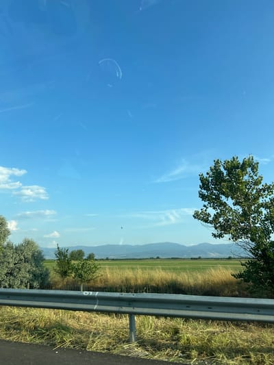 The image displays a rural landscape in Tsalapitsa, Bulgaria, under a clear blue sky with scattered white clouds. The scene appears to be captured during the daytime, likely late morning or early afternoon given the bright sunlight. A guardrail runs along the right side of the frame, separating a dry, grassy roadside from a vast, cultivated field. The field transitions from tall, golden-brown grasses to neatly tilled green rows, suggesting agricultural activity. In the distance, a range of hazy, blue mountains forms the horizon. The foreground features a tree with green foliage on the left and a scattering of smaller trees and bushes between the field and the guardrail. There is a handwritten number "6" visible on the guardrail. The overall impression is one of a peaceful, open countryside setting.