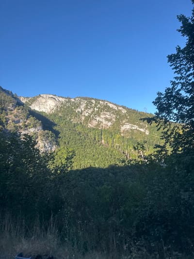 The image shows a scenic view of a mountainous landscape under a clear blue sky. In the foreground, dark green foliage and tall grasses obscure the lower portion of the frame. Behind this, a dense forest covers the lower slopes of a mountain. The mountain itself is characterized by rugged, rocky cliffs and steep slopes, with patches of vegetation growing on its surfaces. A distinct shadow falls across a section of the mountain, indicating the direction of the sun. The upper portion of the mountain is illuminated by sunlight, revealing its textured rock formations and scattered trees. The scene is natural and appears to be an outdoor, undeveloped area. No people or specific structures are visible within the scene itself, though a very faint power line tower can be seen on the mountain in the distance, high up. The image depicts a serene, natural environment, likely a hiking or recreational area.