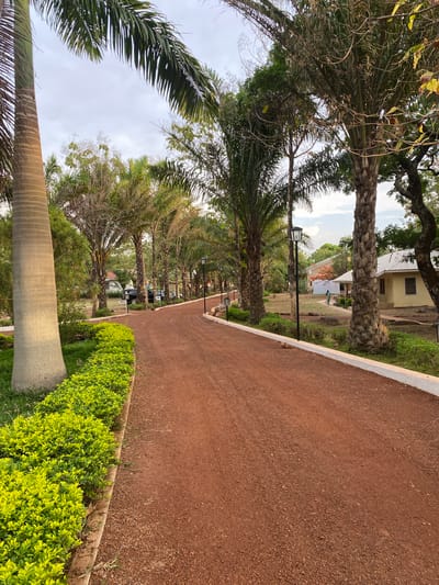 The image depicts a pathway in Miango, Nigeria, bordered by palm trees and green shrubbery. The pathway is covered in red soil and lined with small, evenly spaced lamp posts. A building with a tan exterior is visible in the background. A car is parked further along the pathway. The sky is overcast.