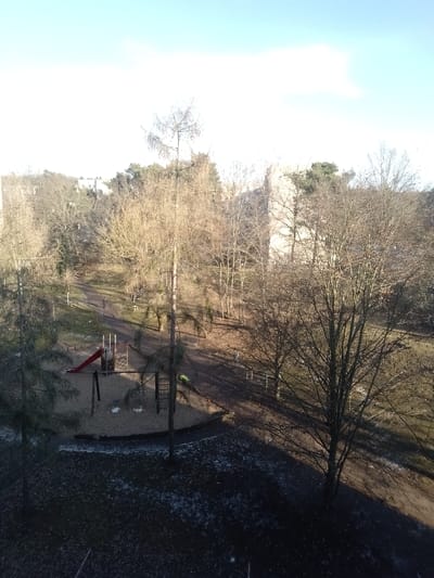 The scene depicts an urban park during late autumn or winter, located in the Gorbitz district of Dresden, Germany. The sky is bright with minimal cloud cover, and direct sunlight illuminates the midground and background, casting long shadows into the foreground and across parts of the park.
In the lower-midground, a children's playground is visible, comprising a red slide, a multi-component wooden climbing structure, and a swing set with two white seats. The playground surface is dark, consistent with wood chips or sand, exhibiting small, irregular patches of snow. The immediate foreground consists of shadowed, dark ground with scattered snow remnants and sparse vegetation.
Numerous bare deciduous trees, interspersed with some evergreens, dominate the midground and background. A dark, winding path traverses the park, extending from the left to the right in the midground. A single human figure, dressed in dark clothing, is observed walking on this path in the upper-midground, moving away from the viewer.
In the background, partially obscured by trees, are multiple multi-story residential buildings. A prominent light-colored, rectangular apartment block is visible on the right, characteristic of 20th-century socialist-era architecture common in the Gorbitz area. The park terrain consists of bare earth, sparse grass, and patches of snow, indicative of cold weather.