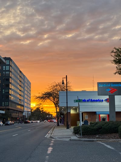 The image depicts an urban street scene at sunset at the intersection of W University Avenue and NW 11th Street in Gainesville, Florida, United States. The sky is dominated by stratified clouds, transitioning from muted grey and white in the upper regions to a vibrant orange and yellow on the western horizon.

On the north side of W University Avenue, a modern, multi-story building with a dark-paneled facade and numerous rectangular windows reflects the intense orange light of the sunset. Below this structure, several parked vehicles line the curb, and additional vehicles are visible in the westbound traffic lanes.

The foreground features a multi-lane asphalt road (W University Avenue) extending westward, populated by multiple vehicles with illuminated headlights and taillights. Lane markings are visible on the road surface.

Centrally, a bare deciduous tree with a sparse canopy stands silhouetted against the bright western sky, partially obscuring the distant horizon. A black street lamp with a single light fixture is positioned on the sidewalk.

On the south side of W University Avenue, a Bank of America branch building is present. The building is light-colored with red brick accents. A prominent blue and red Bank of America corporate sign is mounted on a pole at the street edge, alongside a green street sign indicating "NW 11th St." A smaller "Bank of America" sign is affixed to the building's facade. One individual is discernible at an ATM located on the exterior of the bank building. Low, manicured shrubs are planted in front of the bank.
