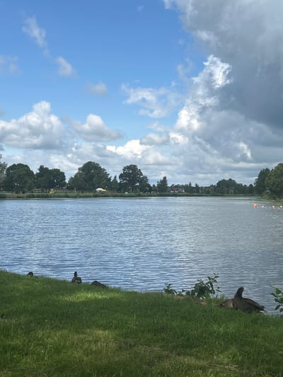 The image depicts a serene lake scene in the city of Iwye, Belarus. The foreground is dominated by a lush green grassy bank sloping down to the water's edge. Several ducks are visible on the bank, some grazing and others resting. The lake itself is calm, with gentle ripples on its surface reflecting the blue sky and scattered white clouds. In the background, a line of mature trees forms a verdant backdrop to the lake. Beyond the trees, some buildings and yellow structures, possibly tents or canopies, are faintly visible, suggesting a park or recreational area. The sky is a mix of bright blue patches and darker, more ominous clouds, indicating potentially changing weather. Orange buoys are dotted on the surface of the lake in the distance.