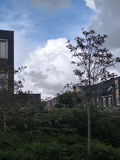 The image depicts a residential area in Alkmaar, Netherlands. In the foreground, there are two young trees with sparse foliage and a dense green hedge. Behind the hedge, a building with a dark facade and a light-colored window is visible on the left. Further back, a row of residential buildings with dark roofs and light-colored facades, featuring multiple windows, stretches across the midground. The sky is a dramatic mix of bright blue, overcast grey, and a large, luminous white cloud formation. The overall impression is one of a slightly overcast day with dynamic cloud cover over a suburban or urban residential landscape.