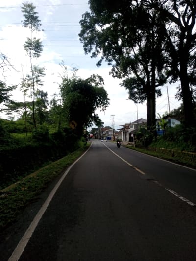 This image displays a two-lane asphalt road in Domphoog_Dungkarchhoeling, Bhutan, under a partly cloudy sky during daylight. The road curves gently to the left and recedes into the distance. A solid white line marks the left edge of the road, bordering an upward-sloping grassy embankment densely covered with green foliage and various trees. A yellow diamond-shaped road sign depicting a left-curving arrow is visible within the greenery on the left. The road's two lanes are delineated by a dashed white line that transitions into a solid yellow line further ahead, with a faded yellow patch also present in the right lane.
On the right side of the road, a series of single to two-story buildings, consistent with residential or commercial structures, are visible behind a foreground of large trees with dense, dark canopies. One building features a light blue lower facade. Utility poles supporting overhead power lines are present along the right side of the road, extending into the background. Three motorcycles are observed moving away from the viewer along the road; one dark-colored motorcycle is in the midground right lane, and two additional motorcycles are visible further ahead in the distance. The sky above is light blue with scattered white clouds, and multiple horizontal utility lines are discernible across the upper left portion of the frame.