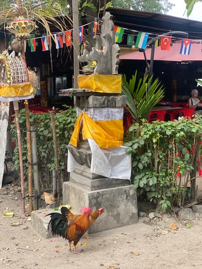 In Nusa Penida, Indonesia, a rooster and hen are near a stone altar adorned with yellow and white fabric. In the background, a building with red chairs and tables suggests a restaurant or cafe. Flags from various nations are strung across the scene, adding a touch of international presence to the tropical environment.