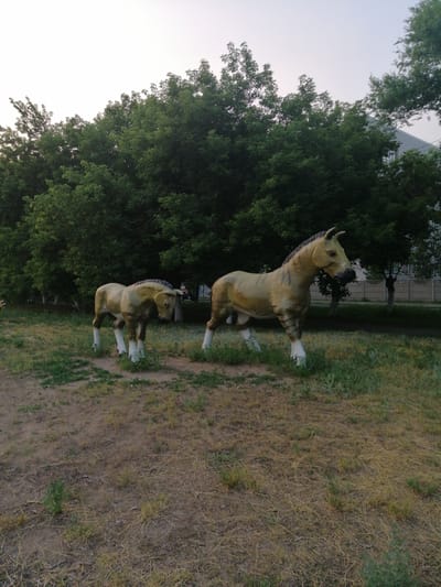 This media file shows a scene featuring two horse statues in an outdoor setting. The statues appear to be life-sized and are positioned on a grassy area with dirt patches and dry vegetation. The larger statue is in the foreground to the right, facing left with its head slightly bowed. It has a tan body with dark stripes and white legs. The smaller statue is to the left of the larger one, also facing left, and has a similar color scheme with white legs.
Behind the statues, a dense line of green trees forms a backdrop. Further in the background, a building with a light-colored facade and windows can be seen through the trees on the right side. A fence is also visible in the background. The sky is light and appears to be either early morning or late evening, suggesting a time of day with soft lighting. The overall atmosphere is calm and still, with no people or active events depicted. The location context identifies Pavlodar, Kazakhstan. No visible text is present in the image.