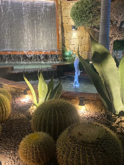 The media file depicts an outdoor scene at night, likely in a warm climate, given the presence of cacti and tropical plants. The setting appears to be a garden or a courtyard, possibly part of a resort or private residence, with a water feature and a stone wall.
The main subjects are a collection of large, spherical barrel cacti, some with prominent spines. An agave plant with large, pointed leaves is positioned prominently in the mid-ground. To the left, a multi-tiered waterfall cascades down a textured surface, creating a sense of tranquility. The waterfall is illuminated, as are several spotlights strategically placed around the garden, casting a warm glow on the plants and stone.
A notable detail is a blue light emanating from the water feature, creating a mystical effect. The overall ambiance is serene and somewhat exotic, suggesting a peaceful evening setting. The lighting indicates it is nighttime. There are no people visible in the media. No text is visible. The location context of Estepona, Spain, reinforces the impression of a warm, Mediterranean evening.