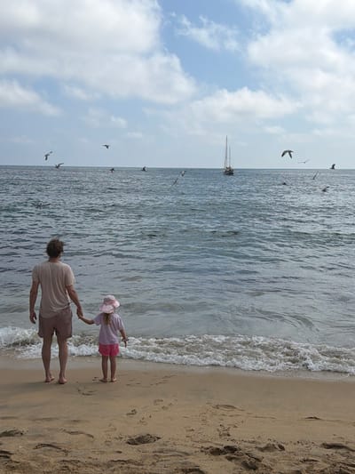 A man and a young girl stand on a sandy beach near the water's edge. The man holds the girl's hand. She wears a pink hat and shorts. Waves gently roll onto the shore. In the distance, a sailboat is on the water. Several birds fly in the sky above the ocean. The sky is partly cloudy, with blue patches. The image is taken from a slightly elevated perspective.