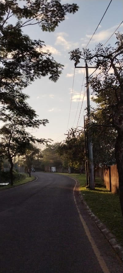 A paved road curves through a tree-lined area, likely in the city of Mataram, Indonesia, under a bright, partly cloudy sky. The sun is low, casting long shadows and illuminating the grass and a concrete wall on the right side of the road. Power lines stretch across the sky, supported by a concrete pole. A lone motorcycle rider is visible in the distance, traveling on the road. The scene appears to be a suburban or semi-rural area, possibly a park or residential street, with lush greenery and a sense of quiet in the early morning or late afternoon light.