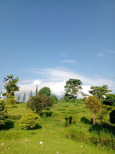 The image shows a grassy hill in Thalang, Laos, under a blue sky with white clouds. The hill is covered in green grass and features various shrubs and trees. Several tall, thin trees stand near a structure that could be a fence. The foliage appears to be well-maintained.