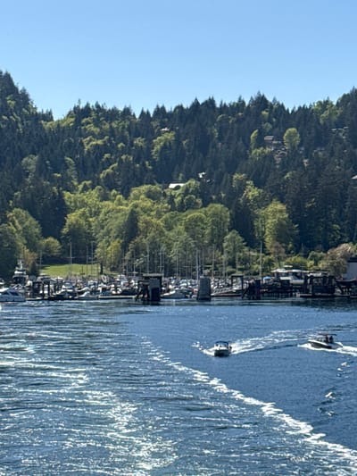 The image depicts a body of water, potentially a bay or inlet, with two boats visible on the water's surface. One boat is smaller, while the other is larger and creates a significant wake. Along the shoreline, there is a marina with numerous boats docked, alongside piers and other structures. The adjacent land is covered with a dense forest, and a clear blue sky is visible above. The image shows boats traveling along the water off the coast near Bowen Island Municipality, Canada.