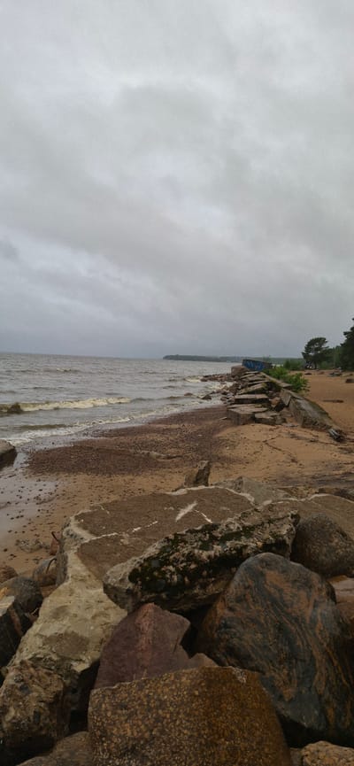 The image shows a view of the Gulf of Finland coastline in Repino, Russia, on a cloudy day. The foreground is dominated by large, rough rocks, some of which are covered in moss. Beyond the rocks is a sandy beach littered with smaller pebbles. The sea, with moderate waves, stretches out to the horizon, where a distant, tree-covered shoreline is visible under a heavy, overcast sky. A broken concrete embankment runs along the edge of the beach, and further along this embankment, a blue structure, possibly a boat or shed, rests on its side. The overall atmosphere is somber and quiet, suggesting a natural, undeveloped coastal environment. There are no people or animals visible in the frame.