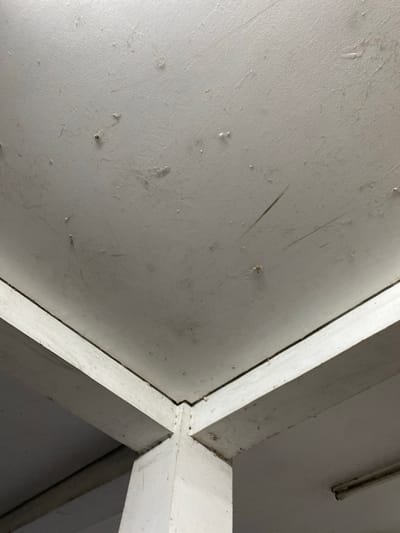 This is a medium-shot, eye-level photograph looking up at a white ceiling with intersecting white beams. The ceiling is textured and appears to be made of a solid material, possibly concrete or drywall. There are some faint marks and small specks of dirt or debris on the ceiling's surface.
The beams are painted white and form a structural element, likely supporting the ceiling. They meet at an angle in the center of the frame, creating a geometric intersection. The lighting in the scene is somewhat dim, suggesting an indoor environment, possibly a room with limited natural light or at night.
A long, thin fluorescent light fixture is visible in the upper right portion of the image, mounted on the ceiling. Its casing is also white, and it appears to be turned off or not providing significant illumination.
There are no people or animals visible in the image. The overall impression is one of an interior architectural detail, possibly in a building or structure. The focus is on the textures and forms of the ceiling and beams, with the subtle imperfections on the surfaces adding a sense of realism. The location context of Gambut Barat, Indonesia, does not provide specific visual cues within the image itself. No text is visible in the photograph.