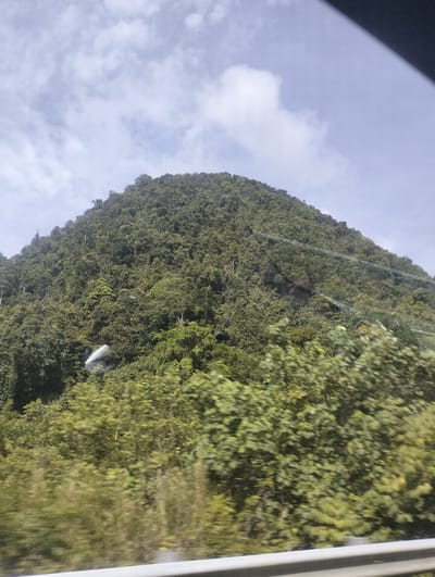 The image captures a lush, green, tree-covered mountain in Pasi, Indonesia. The mountain dominates the frame, its slopes densely packed with vegetation under a bright, partly cloudy sky. In the mid-ground of the mountain, a white object, possibly a structure or a piece of debris, is visible, partially obscured by the foliage. In the foreground, the blurry green foliage of trees suggests movement, indicating the photo was taken from a moving vehicle. A grey railing is visible at the very bottom of the image, further supporting this interpretation. The scene conveys a natural, undeveloped landscape.