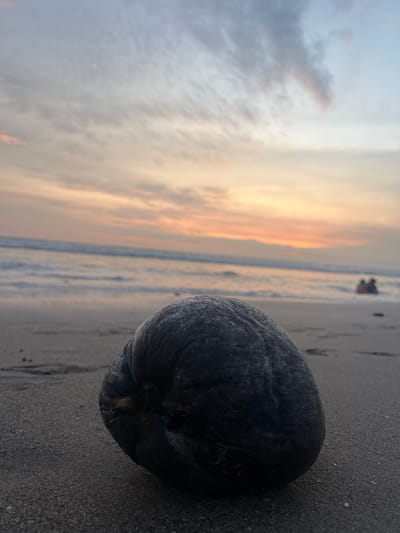 The scene depicts a beach in Kerobokan Kelod, Indonesia, during twilight. A dark, weathered coconut rests on the wet, dark sand in the foreground, occupying the lower-center to lower-right portion of the image. The sand transitions into the ocean, where gentle waves are breaking. In the distant background on the right side, two blurred human figures are partially submerged in the water. The sky displays a gradient of colors, ranging from orange-pink near the horizon to lighter blues and grays higher up, with scattered clouds.