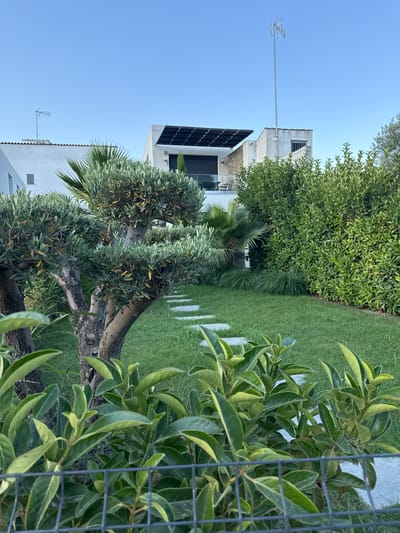 The image depicts a tranquil garden scene in front of a modern villa, likely located in Ofrynio Beach, Greece. In the foreground, a well-maintained lawn is traversed by a path of stepping stones. To the left, a decorative olive tree with twisted branches and green foliage stands prominently. Behind it, lush green hedges form a dense border. In the background, the villa presents a contemporary architectural style with white walls and dark-framed windows. A tall antenna with a signal receiver is mounted on the roof of one section of the villa, indicating a connection to broadcasting services. The sky is a clear, pale blue, suggesting it is either early morning or late afternoon. The overall impression is one of peaceful and sophisticated living, integrated with nature.