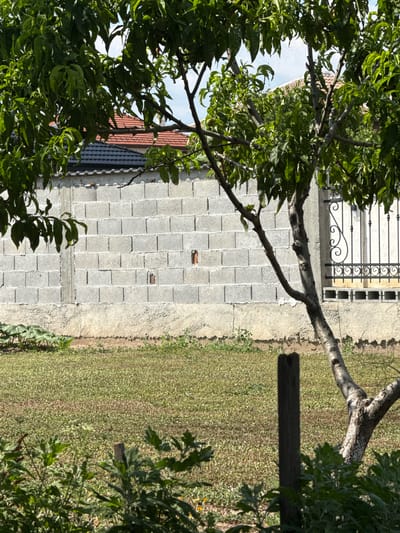 The image depicts a backyard scene in Dragor, Bulgaria. A tree with green leaves and some small green fruits stands in the foreground, partially obscuring a grey cinder block wall. Beyond the wall, two red-tiled roofs are visible, suggesting residential buildings. To the right of the wall, a black metal fence with decorative scrollwork and a repeating circular pattern is present. The ground in front of the wall is covered in grass and some scattered green plants. A wooden post stands in the middle ground. The overall environment suggests a sunny day in a residential area.