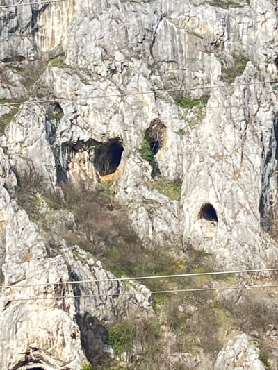The image displays a rugged rock face within the city of Lyutibrod, Bulgaria, characterized by prominent grey and white rock formations. Three distinct dark cave entrances are visible: one large, irregular opening in the mid-left, a smaller, darker, roughly circular opening situated above and slightly right of the first, and a third, oval-shaped opening in the mid-right section. Sparse, dry deciduous vegetation with bare branches and small patches of green foliage cling to the rock surface and crevices, primarily in the lower and mid-sections. No individuals are present. Two thin, horizontal wires, likely utility lines, traverse the lower-mid portion of the frame, partially obscuring the rock and vegetation. The scene is illuminated by natural daylight.