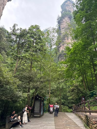 The image depicts a scene in Luoguta, China. A narrow, paved path with stone steps runs through a lush, green forest. A rock formation rises in the background. Along the path, there is a viewing station with a framed information panel. A man sits on a bench, looking at his phone while a woman stands next to him eating. Further up the path, three people are walking. The environment is densely forested, with trees lining both sides of the path. A stone wall and wooden railing are visible on the right side of the path.