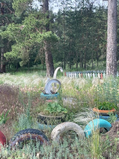 This photograph depicts an outdoor scene located in Vasilevka, Russia. No individuals are present. The foreground consists of an uncultivated ground area heavily covered with diverse vegetation, including prominent clumps of tall, light-colored feathery grasses, as well as various green and dried reddish-brown herbaceous plants. Several discarded vehicle tires are repurposed within this landscape. Slightly left of center, a white tire, cut and sculpted to resemble a swan, is positioned on top of a blue-painted tire acting as a base. Other tires, partially buried or stacked, are visible; these include a red tire on the far left, a dark-colored tire with faded paint, a light gray/white tire, and a bright turquoise-painted tire towards the right. An orange terracotta pot containing green foliage rests on a blue tire in the lower right portion of the image. In the midground, a low, weathered picket fence extends horizontally, with individual pickets painted in a variety of colors, including white, red, orange, green, and blue. The background is dominated by a dense pine forest composed of numerous tall trees with dark green needles and visible, textured trunks. The sky is partially discernible as a light blue through the upper tree canopy.