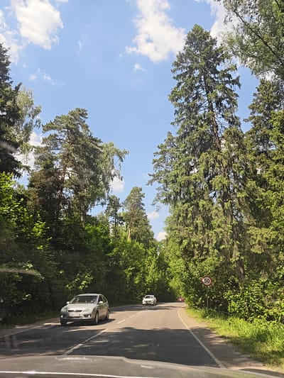 The image depicts a two-lane asphalt road winding through a dense forest under a bright blue sky with scattered white clouds. Tall pine and fir trees line both sides of the road, creating a canopy effect. The road appears to be a rural or suburban route. In the foreground, a silver sedan, identified by its license plate as likely Russian, is driving on the right side of the road. Further down the road, two other vehicles are visible, one white and one red. A circular speed limit sign with the number "50" is posted on the right side of the road. The overall impression is a serene, sun-drenched drive through a natural landscape. Based on visual cues, such as the vegetation and road infrastructure, this scene is consistent with the environment found in Kraskovo, Russia, a settlement known for its wooded areas.
