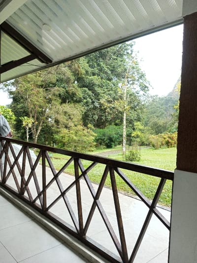 The image displays a scene viewed from a covered balcony or patio in Pachmarhi, India. In the foreground, a light-colored tiled floor is visible, extending to a dark brown wooden railing constructed with a repeating diagonal criss-cross pattern. Above, a white, ribbed ceiling with parallel grooves covers the balcony area. On the far left, the left shoulder, arm, and the back of the head of an individual, dressed in grey clothing, are partially visible, standing on the tiled surface. Beyond the railing, a manicured green lawn extends into the mid-ground, traversed by a narrow, curving dark pathway. Scattered across the lawn are various trees and shrubs, with a slender, light-barked tree centrally positioned in a wire protective cage. The background features dense green foliage, indicating a forest or hilly terrain, with a prominent rocky, vegetated hillside appearing on the far right under a bright, overcast sky.