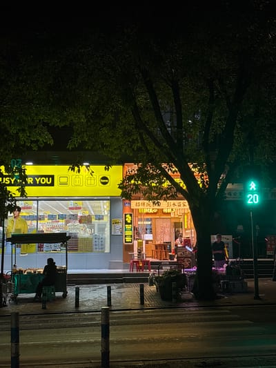 The photograph depicts a nighttime street scene in Nan'an District, China. On the right side is the crosswalk with crosswalk lines. There are two people who appear to be pedestrians waiting to cross the street. There are two commercial buildings that run from the lower right of the photograph to the middle left of the photograph. One business has a sign that reads "JSYR YOU home." Above that business is another sign that includes the words "NG TI GONG BAO." The traffic signal in the photo reads "20." A tree with dense foliage partially obscures the view, especially in the upper left and lower right corners.