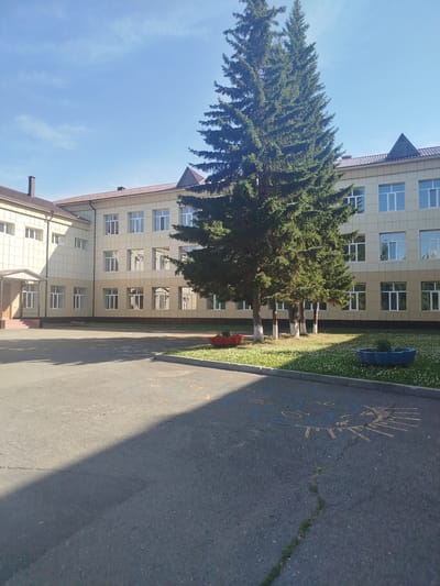 The image depicts the exterior of a two-story school building in Zavodoukovsk, Russia. The building is light beige with a brown roof and numerous windows with white frames. The architecture suggests a functional and modern design. In front of the building, there is a paved courtyard with some painted markings, possibly for games or parking. A strip of green grass borders the courtyard, dotted with small white flowers, and features a few trees, predominantly tall spruce trees. The trees are lush and green, indicating a temperate season, likely spring or summer. Two red planters and a blue trough-like planter are visible, adding some color to the scene. The lighting suggests it is a bright, sunny day with the sun casting a distinct shadow across the courtyard. The sky is clear and blue. There are no people or animals visible in the image. The overall impression is one of a quiet, well-maintained school environment on a pleasant day. The visible text, painted in yellow and blue on the asphalt, appears to be stylized drawings of a sun and possibly letters or numbers, though not clearly decipherable.