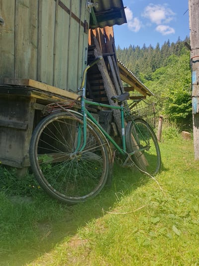 A weathered green bicycle with a wire basket on the back leans against a rustic wooden structure. The structure appears to be a shed or outbuilding, constructed from mismatched wooden planks of varying colors and ages. Some of these planks are weathered and show signs of decay, while others are newer. The bicycle itself exhibits signs of age, with rust visible on its rims and frame. The front wheel is large and has a wire basket attached above it. The rear wheel is partially obscured. The bicycle's handlebars are raised and turned to the left. Behind the structure, a dense forest of coniferous trees rises up a hillside under a bright blue sky dotted with white clouds. The ground is covered in lush green grass with scattered wildflowers. The overall scene suggests a rural or semi-rural setting, possibly in the village of Staishche, Ukraine.