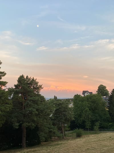 The image depicts a landscape scene at dusk, likely in Milvignes, Switzerland. The sky dominates the upper portion, transitioning from a pale blue on the left to a warm, soft orange and pink hue on the right, indicating the setting sun. Wispy clouds are scattered across the sky. A faint, pale moon is visible in the left portion of the sky.
Below the sky, on the right side of the image, is a residential area with buildings and trees. A house with a dark roof and white walls, featuring three red-framed windows on an upper level, is partially visible amongst lush green trees. Further to the right, a field of dry, yellowed grass stretches towards the foreground, bordered by a light-colored fence.
The foreground and middle ground are filled with dense evergreen trees, their dark green foliage contrasting with the lighter tones of the sky and the dry field. The orientation of the image suggests it was taken vertically. The overall mood is serene and peaceful, capturing the calm beauty of a summer evening. There is no visible text in the image.