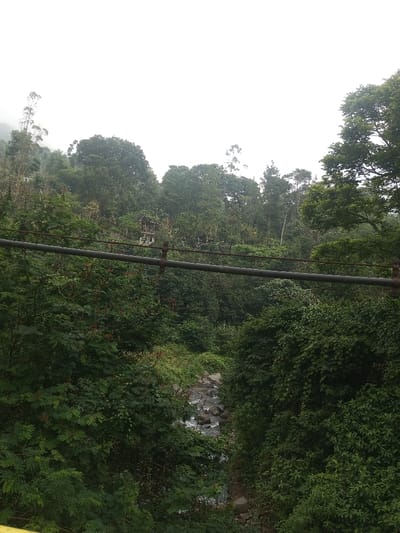 A lush green scene features a river flowing through a dense forest. A weathered, possibly metallic structure cuts across the midground, appearing like a bridge cable or support. A small building sits partially obscured by trees on the hillside. The sky is overcast, creating a diffused light over the landscape, highlighting the foliage's textures.