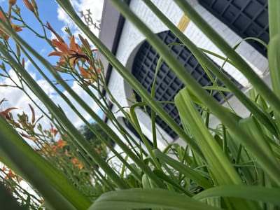 This low-angle, close-up photograph captures a cluster of orange lilies in the foreground, their slender green stems and petals dominating the view. Behind the flowers, a white building with dark arched windows and a dark roof is visible. A small portion of a golden decorative element is also present on the building's facade. The sky above is blue with scattered white clouds. The composition suggests the lilies are growing in an outdoor setting, possibly a garden or park adjacent to the building. Given the context provided, this scene is located in the city of Orsk, Russia.