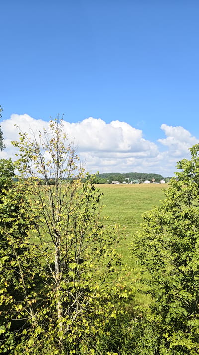 This is a wide shot of a rural landscape under a bright blue sky with scattered white clouds. The foreground features lush green trees with some yellowing leaves, suggesting a transition into autumn. A field of green grass stretches into the midground, dotted with a few buildings that appear to be houses or small structures, indicating a village or small settlement. A line of trees forms a dense green border in the background. The overall impression is one of a peaceful, natural setting. The location is described as Занарацкі сельскі Савет, Belarus. There are no people or animals visible in the image.
