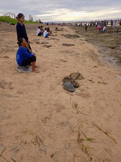 The image depicts a scene on a beach at Pameungpeuk, Indonesia, located at coordinates -7.668 latitude and 107.694 longitude. The beach is sandy and there are several people sitting on the sand, some of whom are facing the water. There is a rocky outcrop at the edge of the sand. Two women are seated on a large rock in the foreground. The women are wearing long sleeves and long pants. There is a stick lying on the sand in the foreground. The beach is generally empty with a scattering of vegetation and a large group of people in the distance.