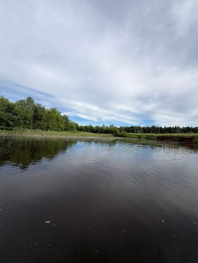 The image depicts a wide, dark body of water reflecting the sky and the surrounding environment. The water is calm with gentle ripples, and there are some white specks on its surface, possibly foam or debris. On the left side of the frame, a dense line of lush green trees runs along the bank, with some tall reeds or grasses in the foreground. The right bank of the water shows a section of exposed reddish-brown soil, suggesting a gradual slope or erosion. In the distance, a thick forest of dark green trees extends across the horizon. The sky is partly cloudy with patches of blue visible through wispy white clouds that stretch across the frame. The overall impression is a serene, natural landscape. The location is identified as the river in the village of Garevaya, Russia.