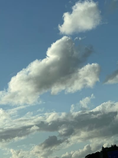 The image is a photograph of a blue sky filled with various clouds, ranging from bright white to dark gray. In the lower right corner, a portion of a dark green treeline is visible, and a blue road sign with white text is partially obscured by the trees. The road sign appears to indicate "A32 Steen" and an arrow pointing upwards. The overall scene suggests an outdoor environment, possibly a roadside view, under a partly cloudy sky. There are no people, animals, or specific city landmarks of Meppel visible in this image.