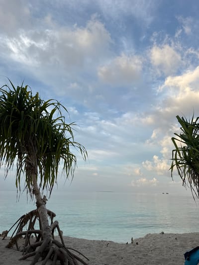 The image captures a serene tropical beach scene in Ukulhas, Maldives. Although the provided image is oriented vertically (rotated 90 degrees clockwise), when viewed correctly, it depicts a tranquil coastal landscape with a partially cloudy sky, calm turquoise water, and a sandy beach dotted with distinctive trees.
The upper portion of the frame features a soft blue sky interspersed with white and grey clouds, suggesting diffused light characteristic of early morning or late afternoon. Below the sky, the calm, light blue-green sea stretches to the horizon, where two small, dark shapes, likely boats, are visible in the distance.
On the right side of the composition, a strip of light-colored, possibly white, sand forms the beach. Some small dark specks are scattered on the sand, and a small corner of a blue object, possibly a piece of fabric or a bag, is visible at the very top right edge of the beach.
Two prominent, palm-like trees, likely Pandanus, frame the scene. One occupies the lower right, featuring long, spiky green leaves, a gnarled trunk, and striking exposed stilt-like roots extending into the sand. The leaves of another similar tree are visible at the very top of the frame.
No people or specific activities are visible, contributing to the peaceful and untouched ambiance. There is no discernible text within the image. The overall impression is one of natural beauty and tranquility in a tropical setting.
