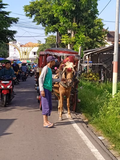 The image captures a street scene in Madiun, Indonesia. The foreground features a horse-drawn carriage positioned along the roadside. A man in a green shirt and purple capris stands next to the horse, appearing to hold its reins. The horse has a light brown coat and wears decorative tassels on its head. The carriage is red with a covered top. Another man sits atop the carriage, apparently driving it.

In the background, there is a busy street scene with motorcycles and pedestrians. A red motorcycle is closest to the viewer, driven by a man wearing a blue shirt. The road is paved and marked with a white line along the edge. To the right of the carriage, there is a wooden structure with a display of green coconuts. Dense green vegetation grows adjacent to the structure. In the distance, there is a decorative archway and other buildings, suggesting a commercial or market area. Power lines are visible overhead. The lighting suggests it is daytime.
